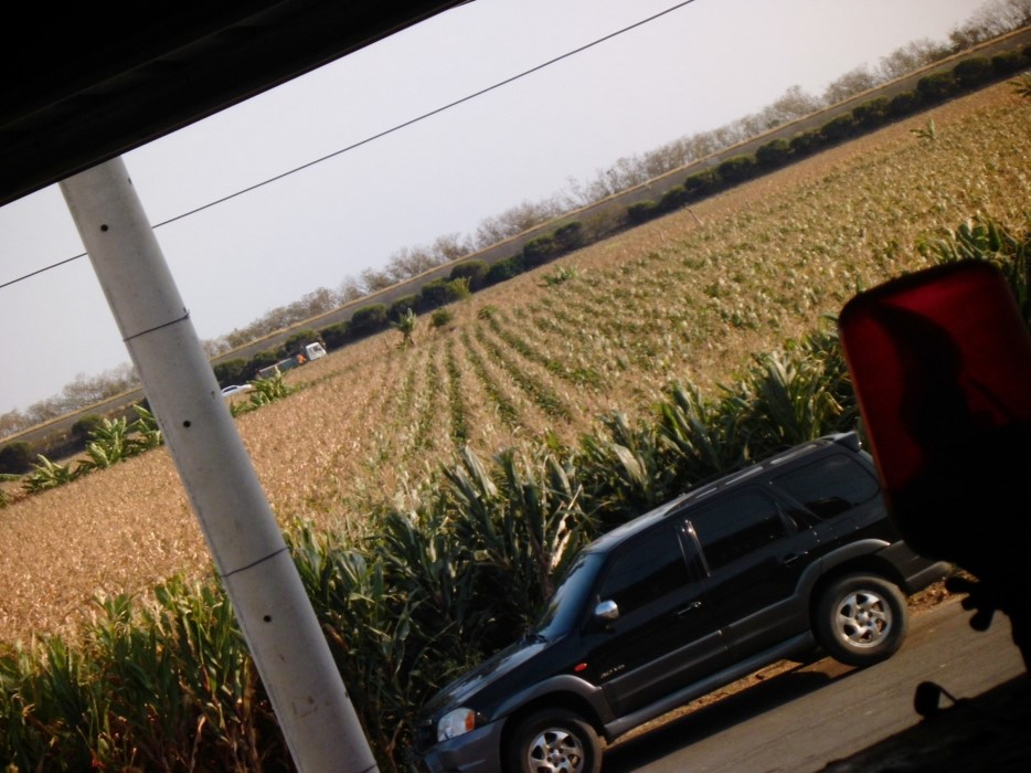 一代傳一代 行行出狀元